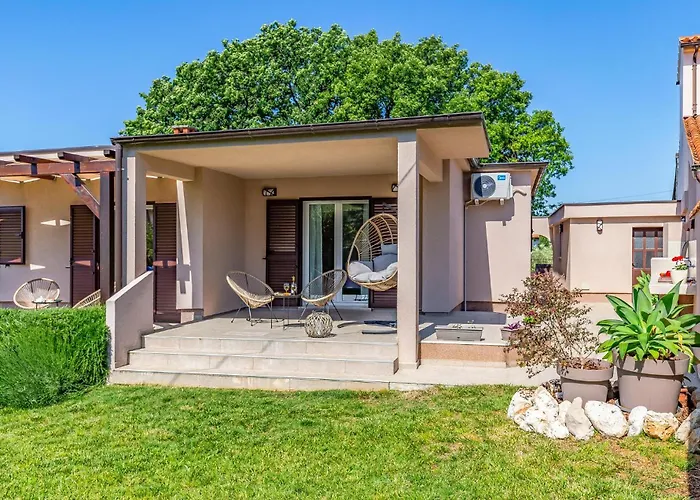 Amazing In With Wifi *