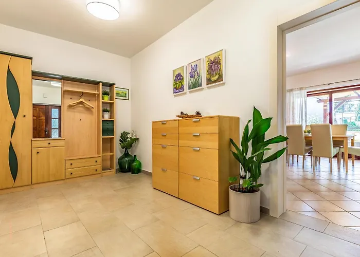 Amazing In With Wifi *